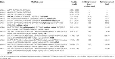 Metabolic Engineering of Saccharomyces cerevisiae for Heterologous Carnosic Acid Production